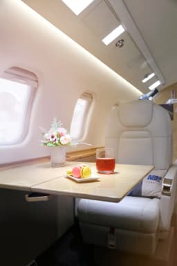 Learjet 60XR A6-GOA