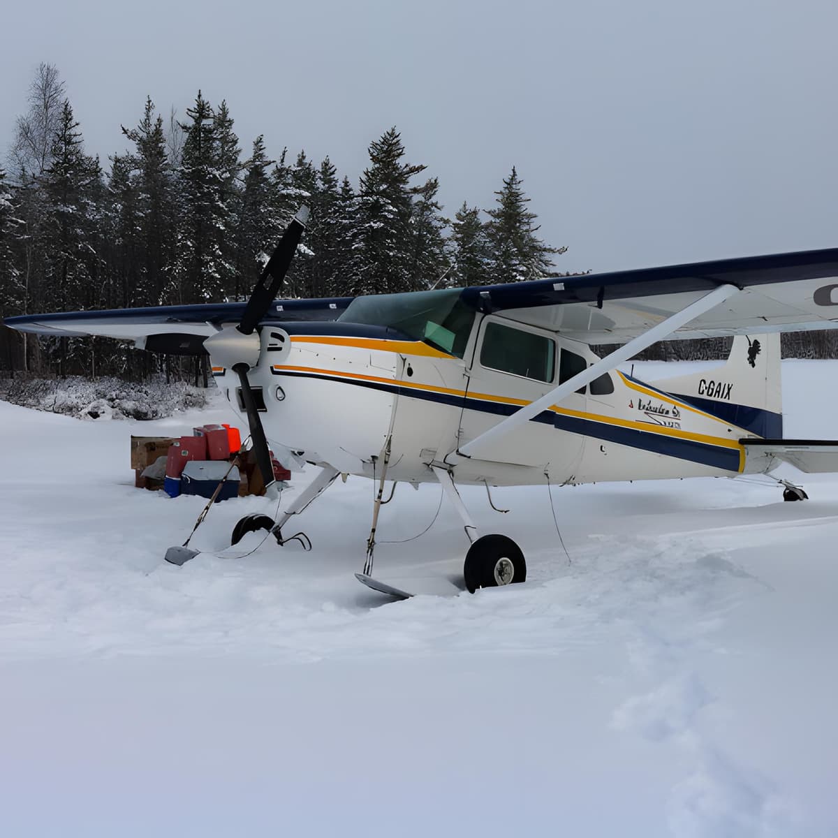 Cessna 185 C-GAIX