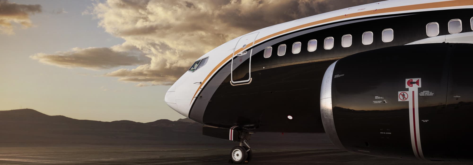Boeing 737-300 LY-BGS