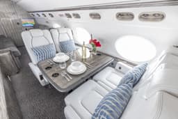 Gulfstream V N111MT