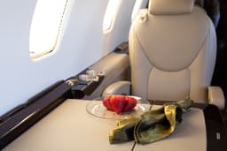 Cessna Citation Excel N245DJ