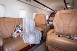 Learjet 60XR N367LJ
