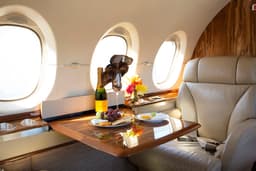 Hawker 900XP N703CD