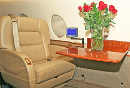Gulfstream G200 N842SS