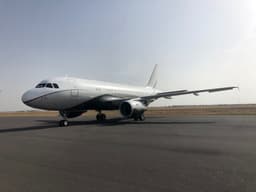 Airbus A319 VIP TC-VHZ