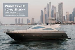 "Grey Shark"