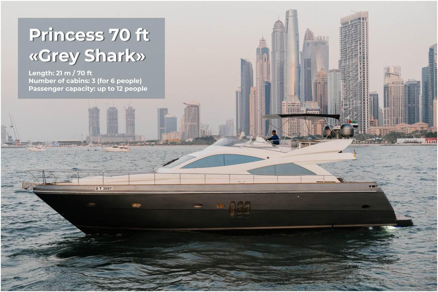 "Grey Shark"