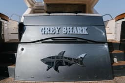 "Grey Shark"
